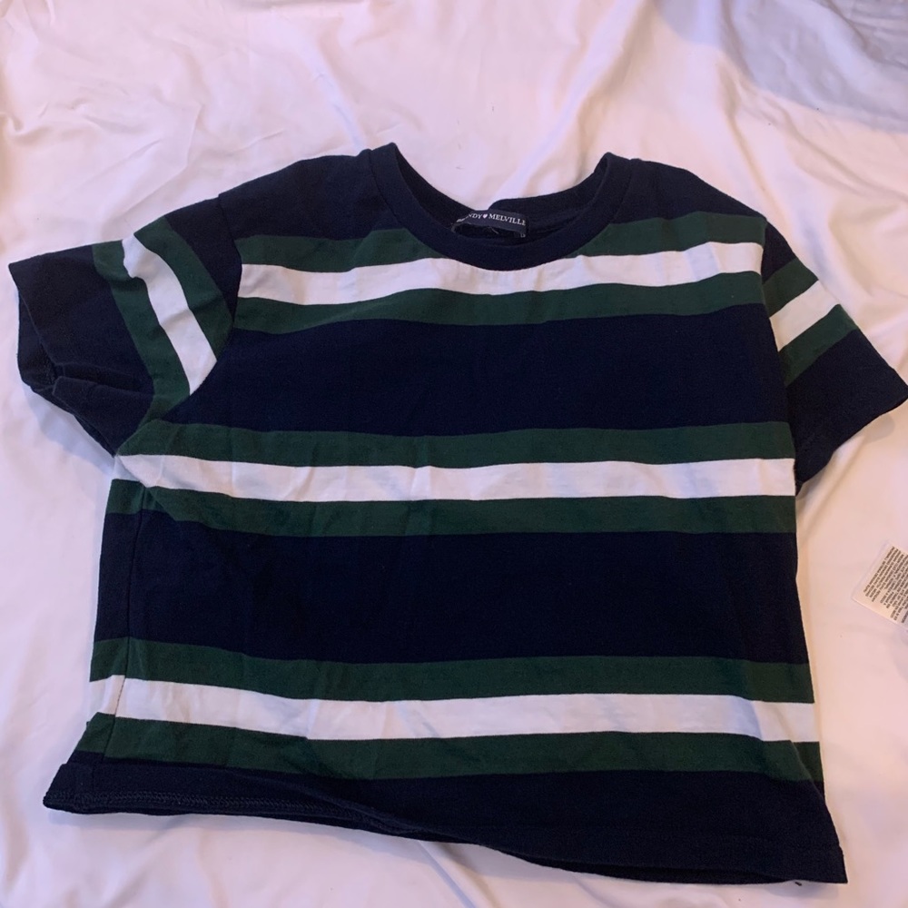 brandy stripped crop top
